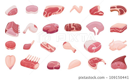 Raw meat collection. Parts of chicken, beef and pork. Butchery shop ingredients, bbq or steakhouse food design. Farm market neoteric vector goods 109150441