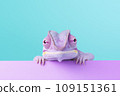 Funny purple chameleon on a blue and purple background. Banner with chameleon and free space. 109151361