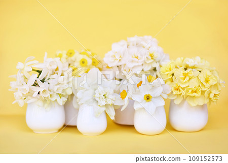Delicate blooming light springtime flowers in vases, spring blossoming floral festive background, bouquets floral card, selective focus, shallow DOF Delicate blooming light springtime flowers in vases, spring blossoming floral festive background, bouquets floral card, selective focus, shallow DOF 109152573