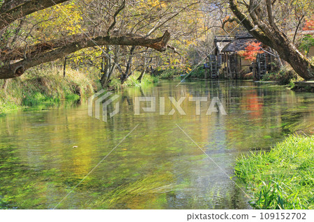 Azumino in autumn - clear stream and watermill Azumino in autumn - clear stream and watermill 109152702