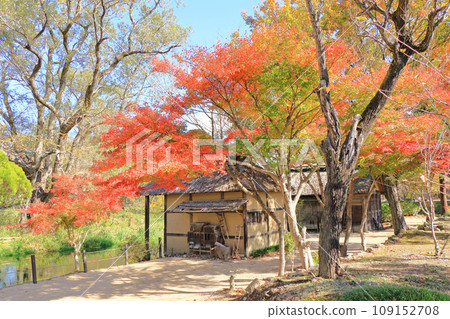 Autumn in Azumino Watermill at Daio Wasabi Farm Autumn in Azumino Watermill at Daio Wasabi Farm 109152708