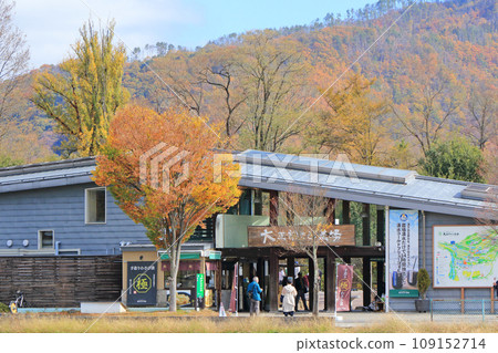 秋天的安曇野大王芥末農場 秋天的安曇野大王芥末農場 109152714