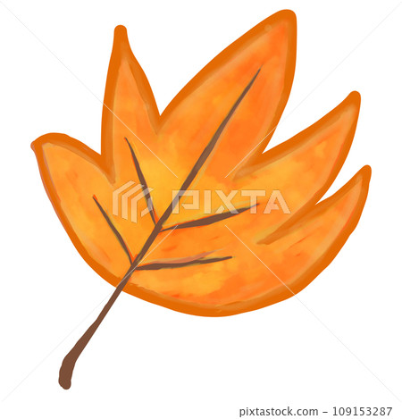 autumn leaf of tree isolated on white autumn leaf of tree isolated on white 109153287