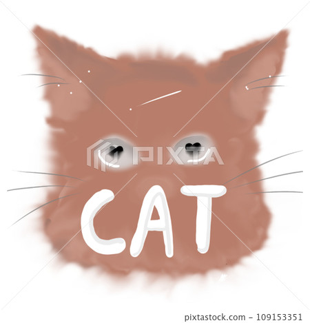 Cat brown Cat brown 109153351