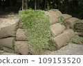 Laying a lawn in the city. Roll of garden grass. A layer of soil with plant sprouts. 109153520