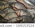 Fish on the counter. Sale of fish. Silvery scales. 109153524