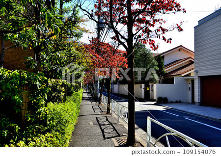 Residential area around Komaba-Todaimae Station, avenue lined with dogwood trees with autumn leaves Residential area around Komaba-Todaimae Station, avenue lined with dogwood trees with autumn leaves 109154076