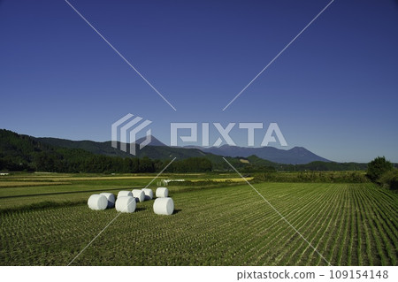 Harvested rice fields and the Kirishima Mountain Range in Miyakonojo City 109154148