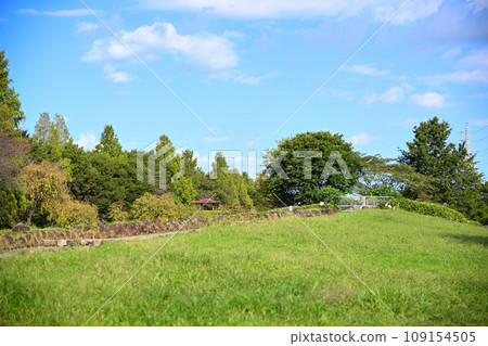 大宮花岡農林公園水上廣場附近的初秋景色 109154505