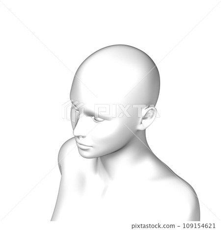 女性頭部人體3D模型 女性頭部人體3D模型 109154621