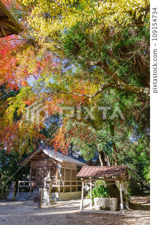 鴨原神社的紅葉(愛知縣豐田市小原町) 鴨原神社的紅葉(愛知縣豐田市小原町) 109154734
