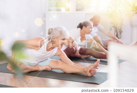 Group of elderly people doing yoga on mat in studio Group of elderly people doing yoga on mat in studio 109154829