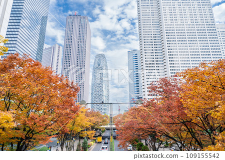 ``Tokyo'' The streets of Nishi-Shinjuku dyed in autumn colors 109155542
