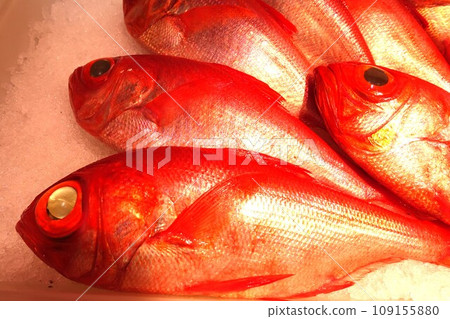 魚店冰上擺放的野生金鯛魚 魚店冰上擺放的野生金鯛魚 109155880
