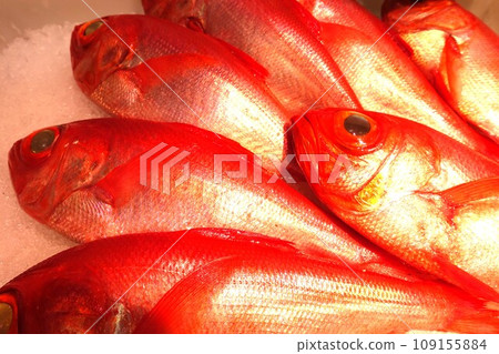 魚店冰上擺放的野生金鯛魚 魚店冰上擺放的野生金鯛魚 109155884