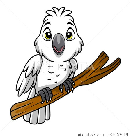 Cute white cockatoo cartoon on white background Cute white cockatoo cartoon on white background 109157019