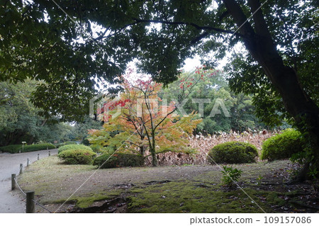 Ritsurin Park in light rain 109157086