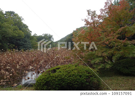 小雨中的栗林公園 109157091