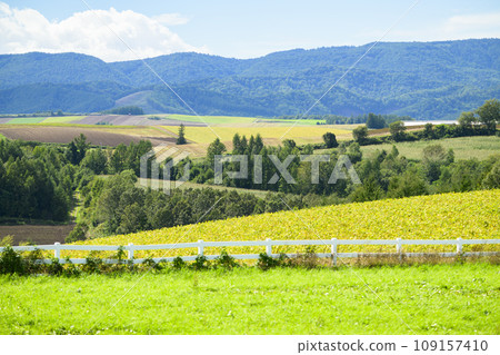 北海道美瑛「信榮之丘展望公園」的景色 109157410