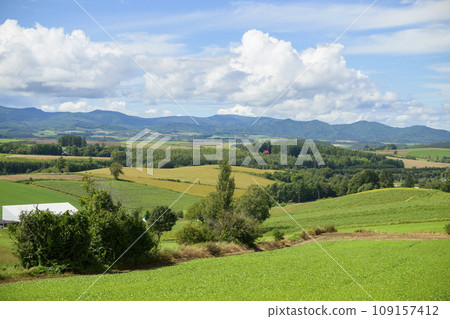 從北海道美瑛「三愛之丘展望公園」眺望的景色 109157412