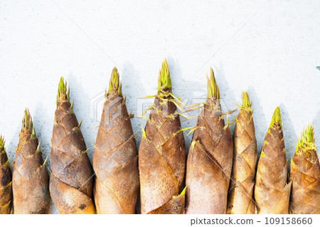 白色混凝土背景上排列成山形的各種大小的竹筍 白色混凝土背景上排列成山形的各種大小的竹筍 109158660