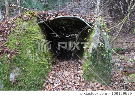 叢林秘密基地 109159659