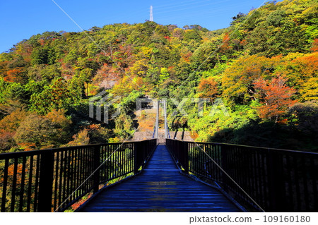 鬼怒川溫泉 鬼怒立體吊橋/栃木縣日光市 109160180