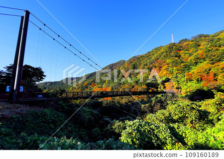 鬼怒川溫泉 鬼怒立體吊橋/栃木縣日光市 鬼怒川溫泉 鬼怒立體吊橋/栃木縣日光市 109160189