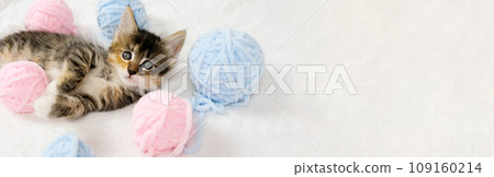Banner striped tabby cat playing with pink and light blue balls skeins of thread on white bed. Little curious kitten lying over white blanket looking at camera. Banner striped tabby cat playing with pink and light blue balls skeins of thread on white bed. Little curious kitten lying over white blanket looking at camera. 109160214