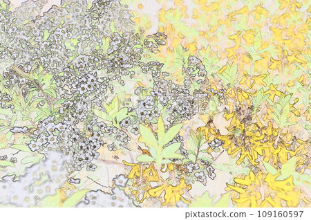 Forsythia and Yukiyanagi co-starring 1 Forsythia and Yukiyanagi co-starring 1 109160597