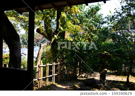 大分縣竹田市“歷史之路”步行路線景觀“舊竹田莊園” 109160629