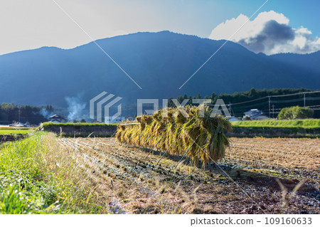 Autumn harvest 109160633