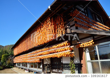 Scenery of Karu Kaki no Sato, an autumn specialty of Yamanashi Prefecture Scenery of Karu Kaki no Sato, an autumn specialty of Yamanashi Prefecture 109161617