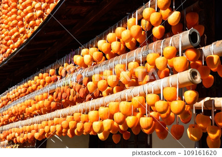 山梨縣秋季特產輕柿之裡的風景 109161620