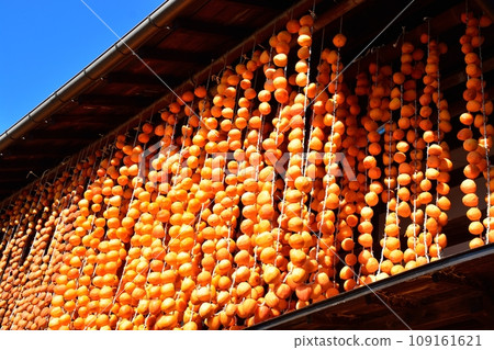 山梨縣秋季特產輕柿之裡的風景 109161621