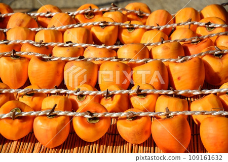 Scenery of Karu Kaki no Sato, an autumn specialty of Yamanashi Prefecture 109161632
