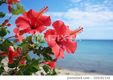 芙蓉與藍海AI生成影像AI影像 109162192