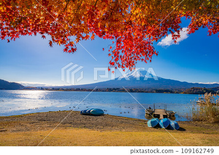 [Mt. Fuji material] Snow-capped Mt. Fuji and autumn leaves seen from Lake Kawaguchi in autumn [Yamanashi Prefecture] 109162749