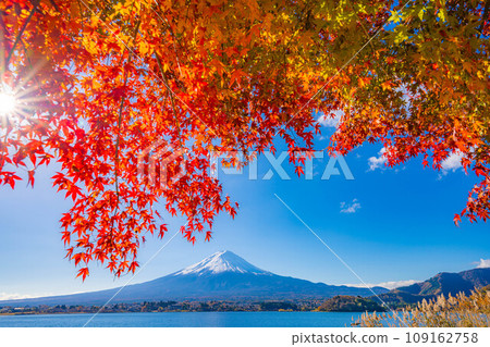 [Mt. Fuji material] Snow-capped Mt. Fuji and autumn leaves seen from Lake Kawaguchi in autumn [Yamanashi Prefecture] 109162758