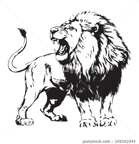 Angry and hungry lion 109162845