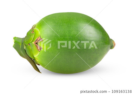 Fresh betel nut isolated on white background Fresh betel nut isolated on white background 109163138