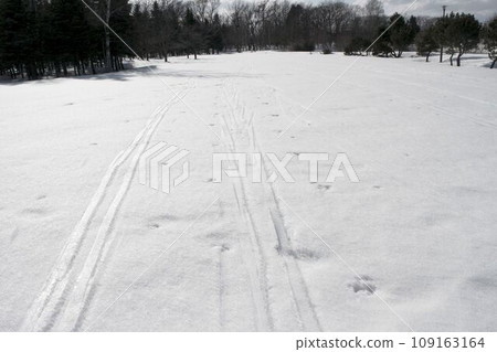 雪上的滑雪道 雪上的滑雪道 109163164