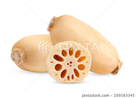 Lotus roots isolated on white background Lotus roots isolated on white background 109163345