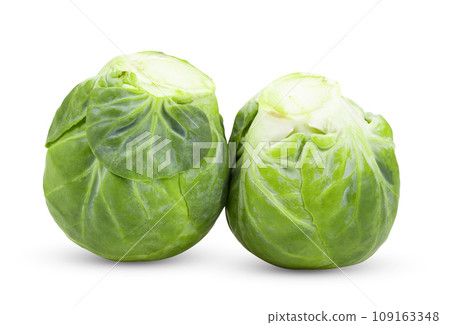 Brussel Sprouts isolated on white background Brussel Sprouts isolated on white background 109163348