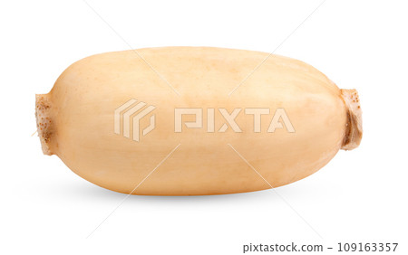 Lotus roots isolated on white background Lotus roots isolated on white background 109163357