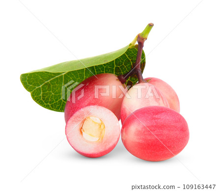 carissa isolated on white background 109163447