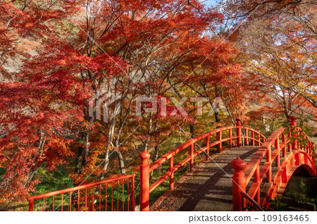 Yamatsuriyama Park, where the autumn leaves are blazing, Yamatsuri Town, Fukushima Prefecture Yamatsuriyama Park, where the autumn leaves are blazing, Yamatsuri Town, Fukushima Prefecture 109163465