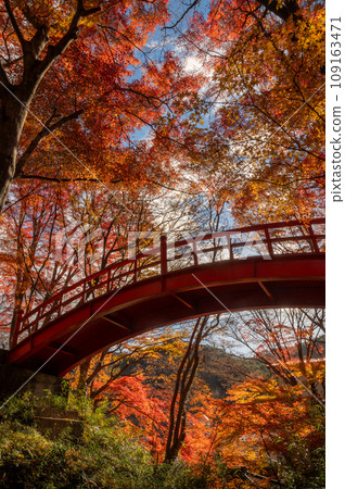 Yamatsuriyama Park, where the autumn leaves are blazing, Yamatsuri Town, Fukushima Prefecture 109163471