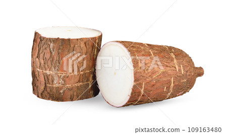 Cassava isolated on white background 109163480