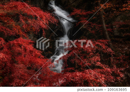 Autumn scenery of Takigawa Valley with blazing autumn leaves in Yamatsuri Town, Fukushima Prefecture 109163695